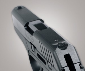 Ruger LCP_Fixed-Front-and-Rear-Sights
