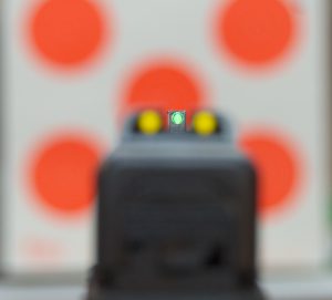 All is right in the world when the front sight is in focus.