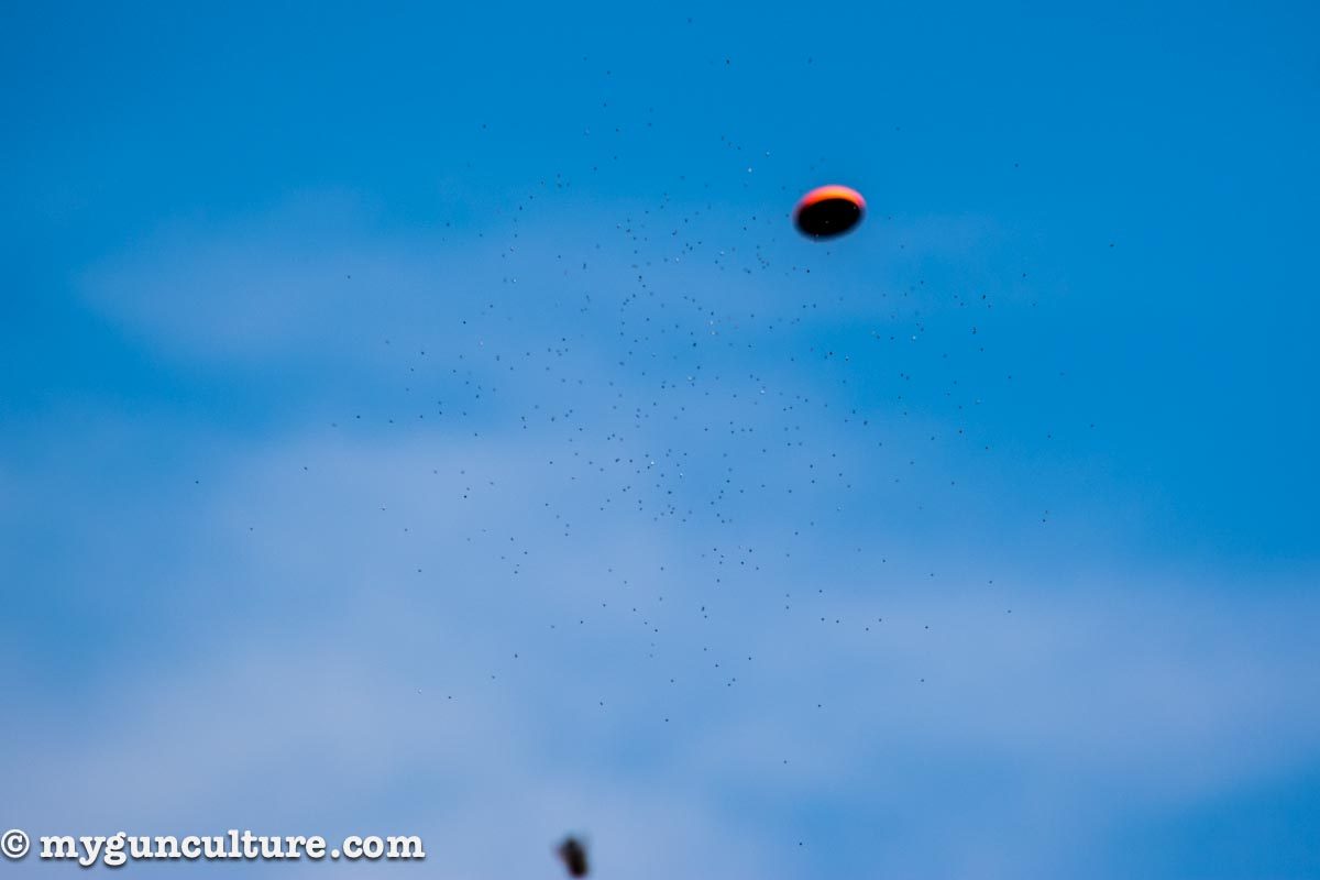 A cloud of 7 ½ size shot pellets a split second before impact. Note the wad at the bottom of the frame. 