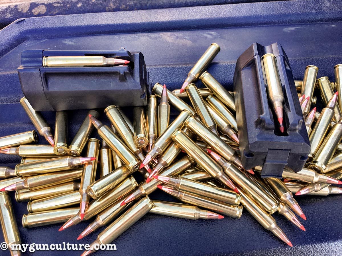 I shot cases of Hornady .204 Ruger 32-grain and 40-grain V-Max ammo over two days without a hiccup. 