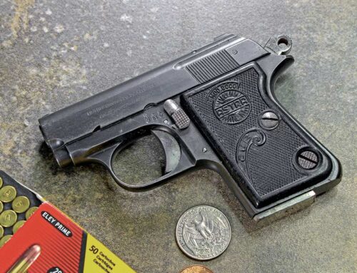 An Interesting Take on the “Defensive” .22